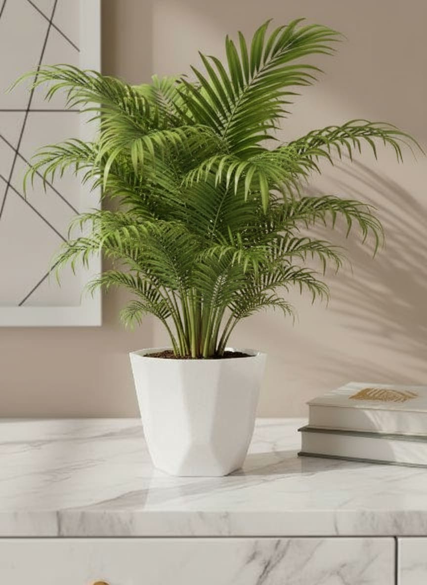 whatsapp image 2025 10 17 at 23.55.35 (1)